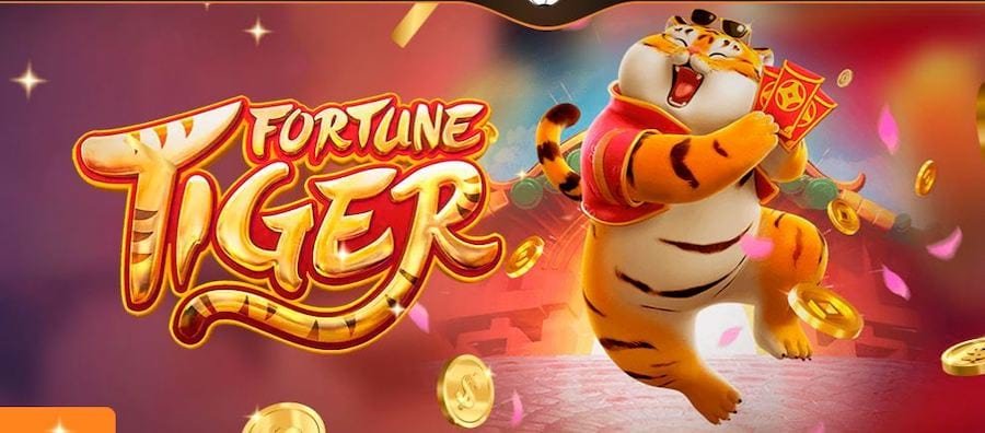 1vs1 Inside the Live Casino
